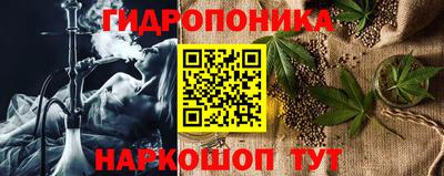 трава Бийск