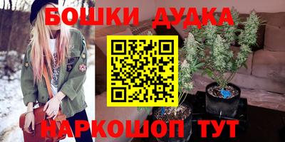гашик Бийск