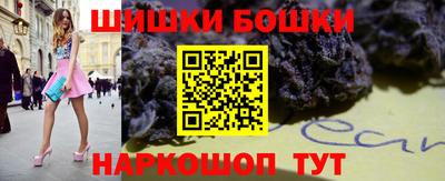 гашик Бийск